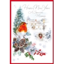 XMAS CARDS,New Year 6's Robin in the Snow