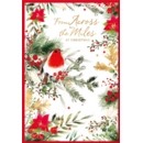 XMAS CARDS,Across the Miles 6's Robin & Foliage