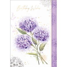 BIRTHDAY CARDS,6's Hydrangea