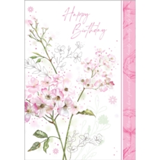 BIRTHDAY CARDS,6's Multiflora Rose