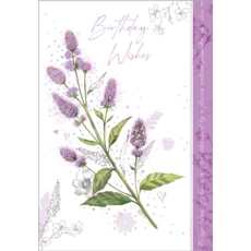 BIRTHDAY CARDS,6's Rose Spirea