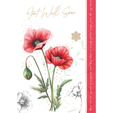 GET WELL CARDS, 6's Oriental Poppy