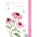GREETING CARDS,Get Well 6's Purple Coneflower
