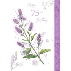 AGE 75 CARDS,Female 6's Rose Spirea