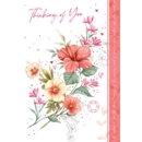 GREETING CARDS,Thinking of You 6's Chinese Hibiscus