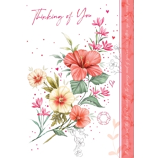 GREETING CARDS,Thinking of You 6's Chinese Hibiscus