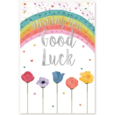 GREETING CARDS,Good Luck 6's Flowers & Rainbow