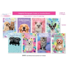 GREETING CARDS,Birthday 72's Wags & Whiskers