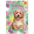 GREETING CARDS,Birthday 72's Wags & Whiskers