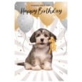 GREETING CARDS,Birthday 72's Wags & Whiskers