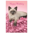 GREETING CARDS,Birthday 72's Wags & Whiskers