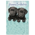 GREETING CARDS,Birthday 72's Wags & Whiskers