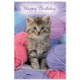 GREETING CARDS,Birthday 72's Wags & Whiskers