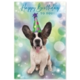 GREETING CARDS,Birthday 72's Wags & Whiskers