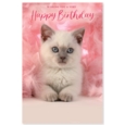 GREETING CARDS,Birthday 72's Wags & Whiskers