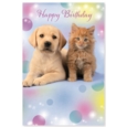 GREETING CARDS,Birthday 72's Wags & Whiskers