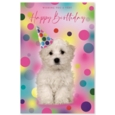 GREETING CARDS,Birthday 72's Wags & Whiskers