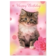 GREETING CARDS,Birthday 72's Wags & Whiskers