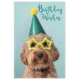 GREETING CARDS,Birthday 72's Wags & Whiskers