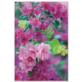 BIRTHDAY CARDS,72