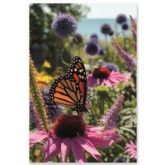 BIRTHDAY CARDS,72