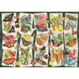 JIGSAW,1000pc.Tropical Butterflies (Ravensburger)