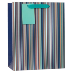 GIFT BAG,Designer Stripe (Large) (Was 1.59)