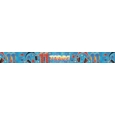 BANNER,Age 11 Male