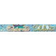 BANNER,Celebrate
