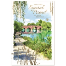 SPECIAL FRIEND CARDS, 6'S River Scene