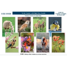 GREETING CARDS,Birthday Assortment 72's In The Country