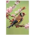 GREETING CARDS,Birthday Assortment 72's In The Country