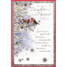 XMAS CARDS,Daughter & Partner 6's Robins in Silver Tree