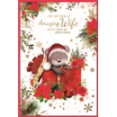 XMAS CARDS,Wife 6's Teddy, Poinsettia & Present