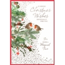 XMAS CARDS,Open 6's Robins on Branch