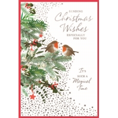 XMAS CARDS,Open 6's Robins on Branch