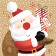 BOXED CARDS,Mini Square Santa & Penguin 20's CDU