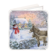 BOXED CARDS,Snowman/Donkey Deluxe & Insert 10's(Was 3.99)