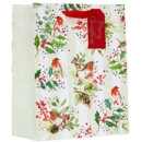 GIFT BAG,Robins (Large) (Was 1.49)
