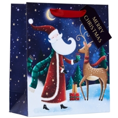 GIFT BAG,Santa (Medium)