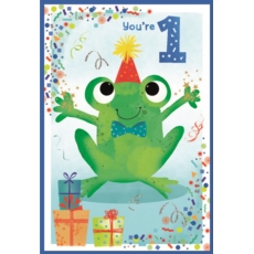 AGE 1 CARDS, 6's Male Frog & Presents