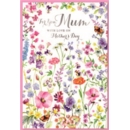 MOTHER'S DAY CARDS,Mum 6's Wild Flowers