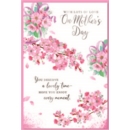 MOTHER'S DAY CARDS,Mother's Day 6's Pink Blossom