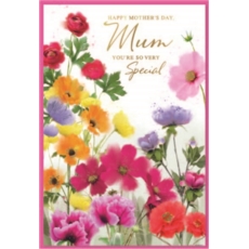 MOTHER'S DAY CARDS,Mum 6's Bright Floral