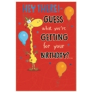 BIRTHDAY CARDS,6's Guess what you're Getting?