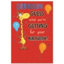 BIRTHDAY CARDS,Grandson 6's Guess what you're Getting?