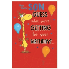 BIRTHDAY CARDS,Son 6's Guess what you're Getting?