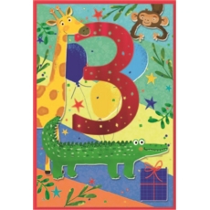 AGE 3 CARDS, 6's Male Jungle Animals