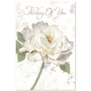 THINKING OF YOU CARDS, 6's White Rose