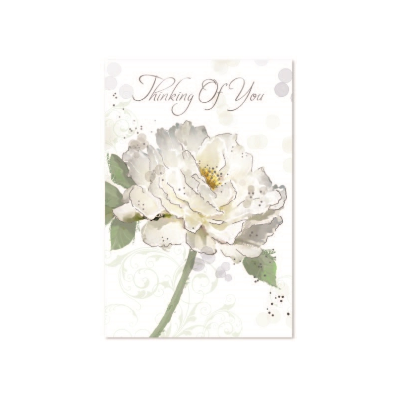 THINKING OF YOU CARDS,6